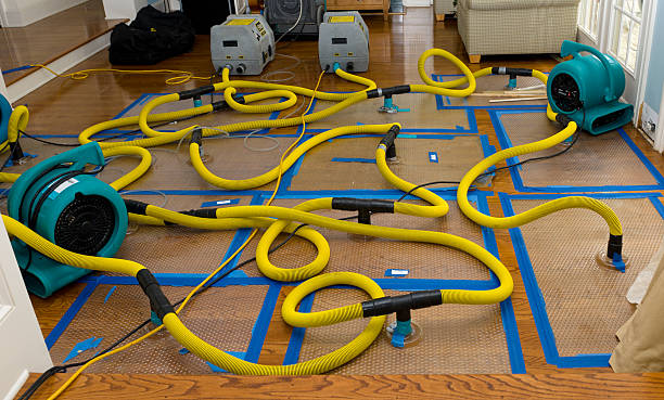 Professional Structural Drying And Dehumidification technician working in Leeds, NY
